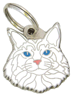 Maine Coon bianco <br> (medagliette per gatti, L’incisione è inclusa nel prezzo)